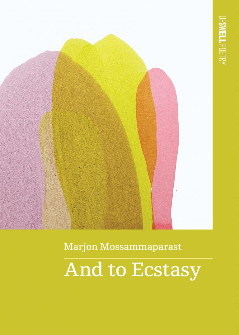 The front cover of And To Ecstasy by Marjon Mossammaparast.