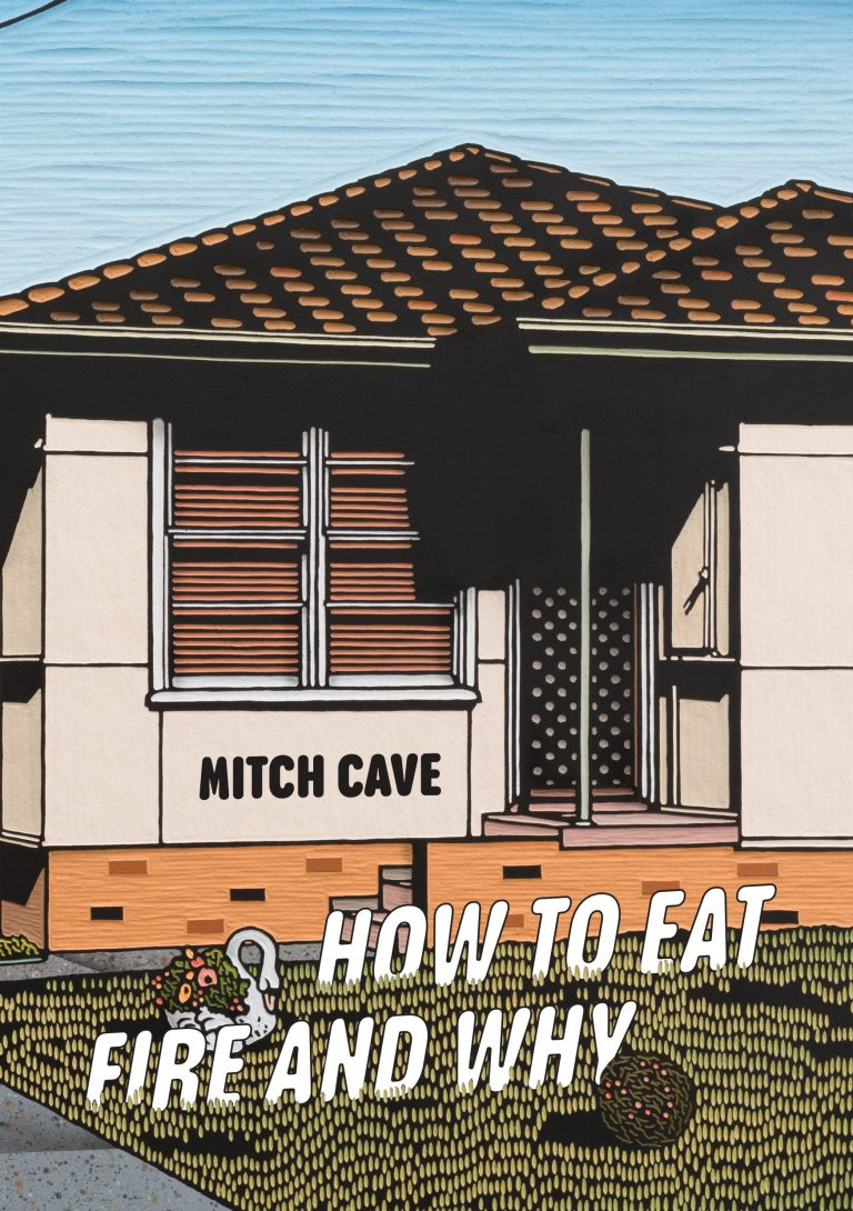 The front cover of 'How to Eat Fire and Why' by Mitch Cave.