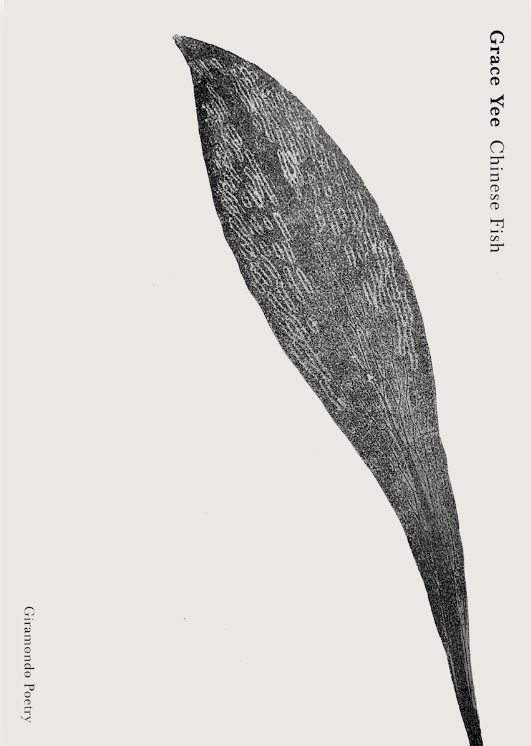 The front cover of 'Chinese Fish' by Grace Yee.