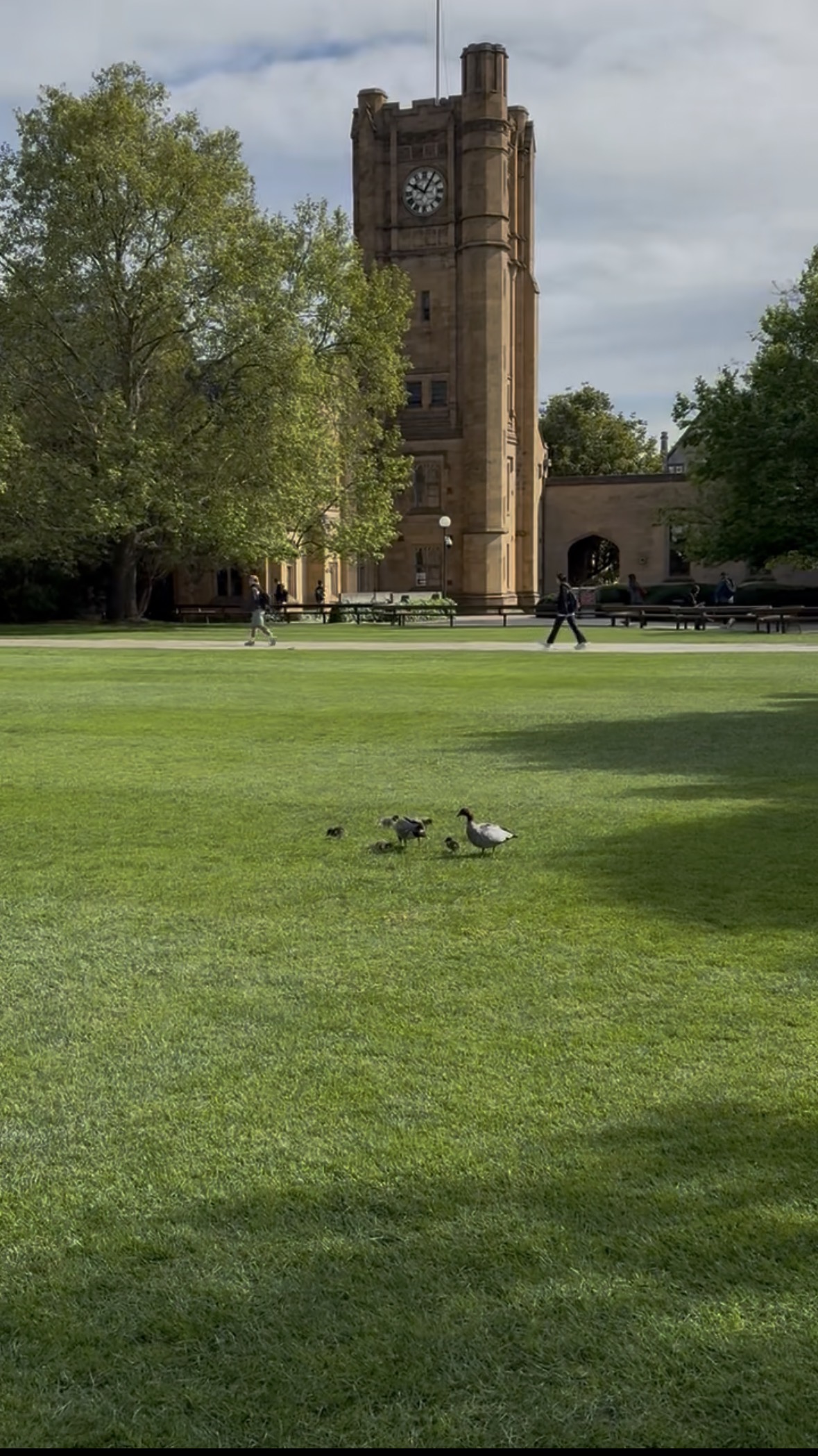 South Lawn